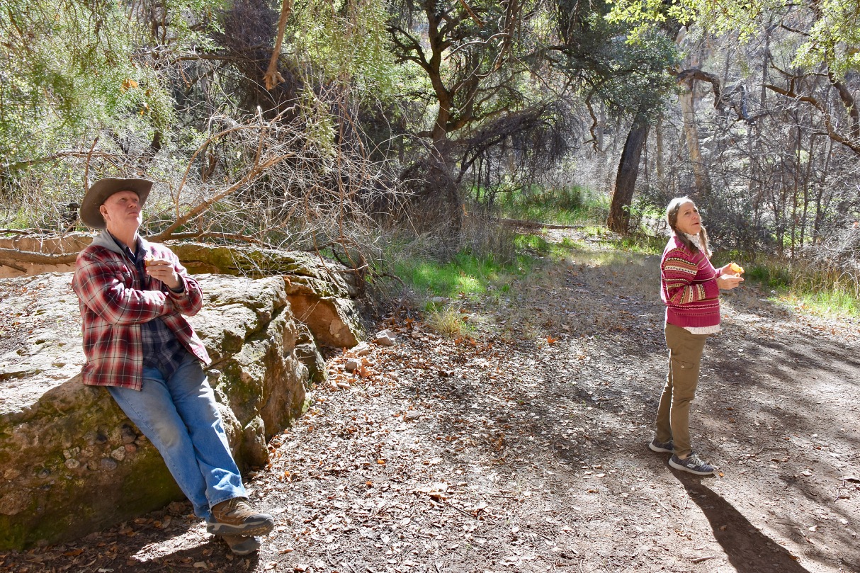 picnic in Turkey Creek